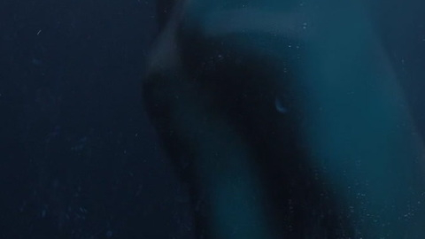 Andrew Garfield Nude as Sam. Butt, nude, skinny dipping. 93392