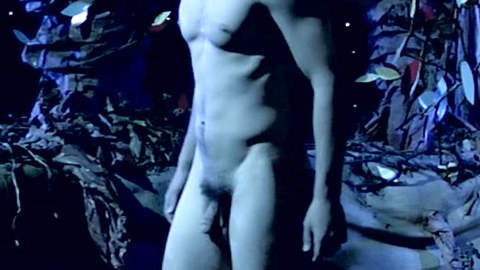 Bhule from The Further Adventures of Anse and Bhule in No-man's Land Naked. Balls, Penis, Shirtless, candles, cave. 93899
