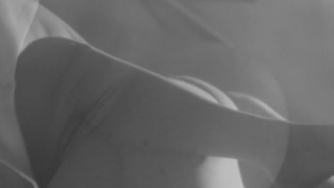 Nudes of Samson from Sweet Talk. Butt, Straight, black and white, missionary. 100674
