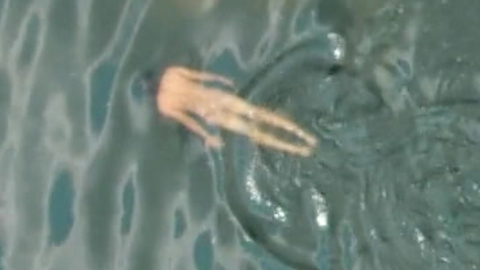 Yoshi Sudarso Naked as Suwo. Butt, barefoot, in lake. 102351
