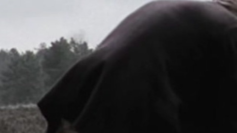 Benja Bruijning Naked as Jan Greven. Balls, Butt, backsack, countryside. 104649