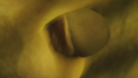 Adam Ild Rohweder Naked as Piet Carnell. Penis, close up, jerking off. 112941