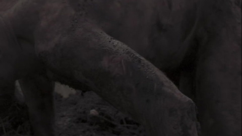 Nudes of Matt Hopkins from Matriarch. Penis, Shirtless, dark, dirst. 112434