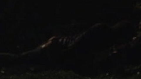Nudes of Ricardo from Genesis. Butt, Straight, distant, night. 118632