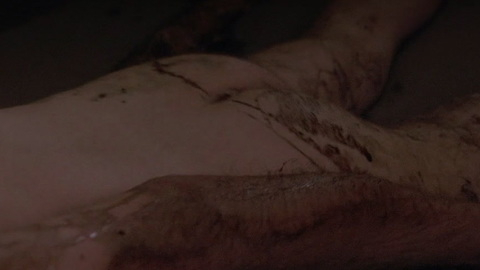Nudes of Stephen from Her Name Was Christa. Butt, bloddy, dead body. 128406