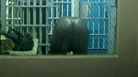 Nudes of Nolan from The Ghost Who Walks. Butt, bent over, getting dressed. 128982