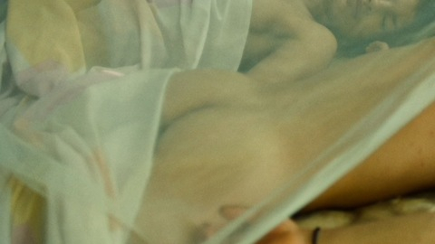 Nudes of Patagrande from Monos. Butt, dreadlocks, mosquito net. 129030