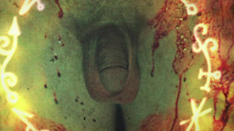 Nudes of Burly Man from Porno. Balls, Penis, close up, nude. 131070