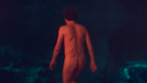 Nudes of Wojciech Malczak from The Woods. Butt, campfire, night. 133392