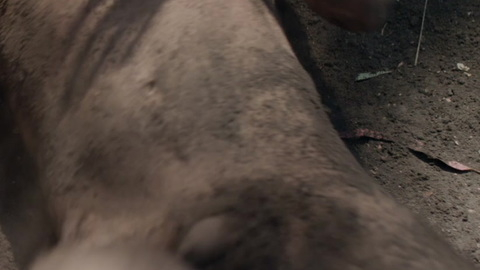 Nudes of Jaime 'El Príncipe' from The Prince. Balls, Penis, Shirtless, dirty, full frontal. 135504