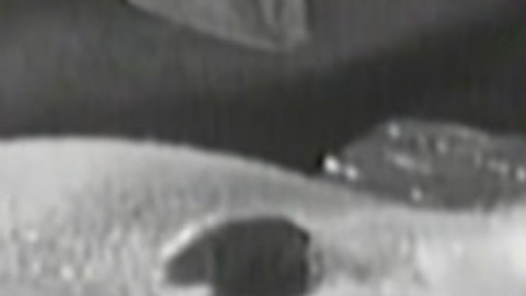 David Lispi Nude as Pool Dude. Penis, Shirtless, black and white, nude. 137648