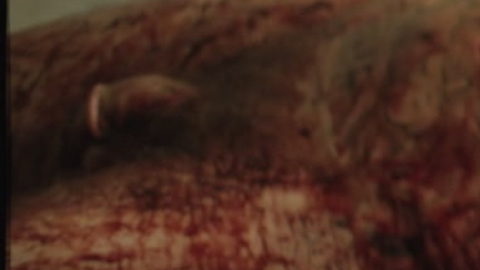 Creeper from The Tax Collector Naked. Balls, Penis, Shirtless, bloody, full frontal. 137717
