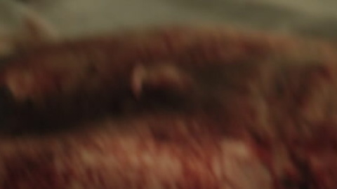 Shia LaBeouf Nude as Creeper. Balls, Penis, Shirtless, bloody, full frontal. 137714