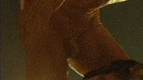 Orla Pederson Nude as Master Musician (as Oh-Tee). Balls, Penis, Shirtless, bald, cave. 145106
