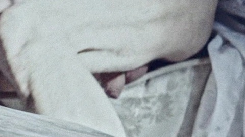 Rob Justice from Bullets of Justice Naked. Balls, Penis, in bed, landing gear. 145499