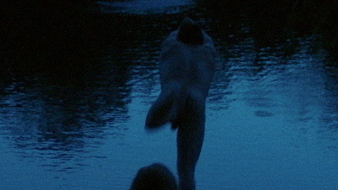 Jesse Gallegos Nude as Him. Butt, Penis, diving, dock. 145934