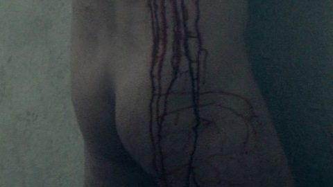 Paul Brennen Nude as David Cooper. Butt, bald, blood. 150056