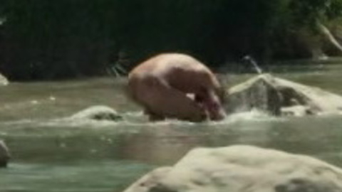 Josh Hartnett Nude as White Man. Butt, bent over, distant. 151664