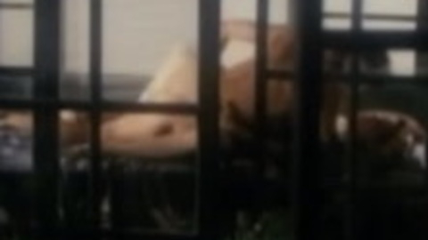 Mathieu Carrière Nude as Hugo Arnold. Butt, Straight, distant, missionary. 160616