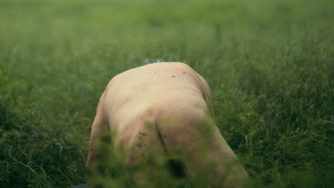 Nudes of Uncle Brownie from Reservation Dogs. Butt, Shirtless, bent over, in field. 161820