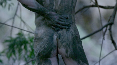 Benedict Cumberbatch Naked as Phil Burbank. Butt, Shirtless, mud, outdoors. 166251