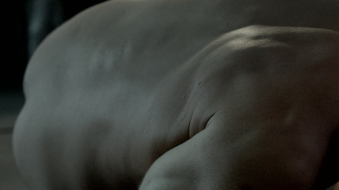Nudes of David from Two. Butt. 166872