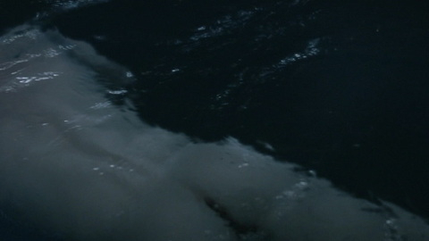 Nudes of Jake from Last Survivors. Butt, Shirtless, nude, underwater. 170070