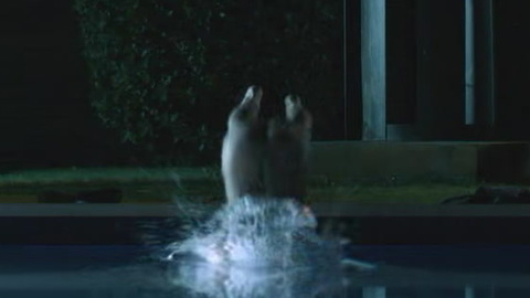 Pablo Capuz Naked as Rai. Butt, backyard, dive. 171747