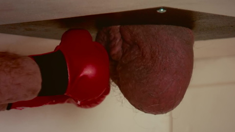 Nudes of Himself from Jackass Forever. Balls, boxing gloves, hanging balls. 171924