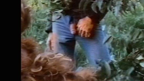 Rob Camp Naked as Motorcyclist. Penis, blue jeans, monster. 172371