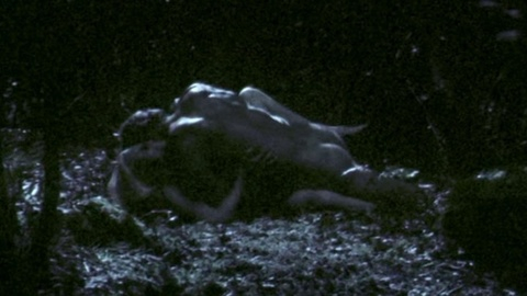 Nudes of Amleth from The Northman. Butt, couple, dark. 175752