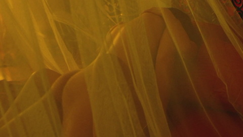William Harding from The Hottest State Naked. Butt, man on top, mosquito net. 177893