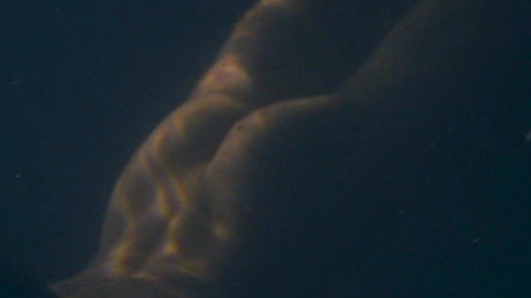 Nacho from Outlaws Naked. Butt, nude, ocean. 177965