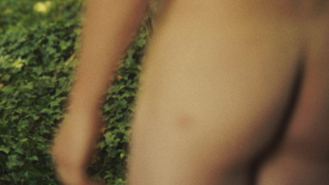 Albert jeune / Albert Desiderio jeune from Black Butterflies Naked. Butt, close up, leaves. 179855
