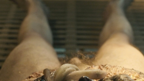 Nudes of Joe Allen from Guillermo del Toro's Cabinet of Curiosities. Penis, Horror, intestines. 179994