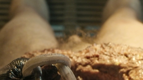 Luke Roberts Nude in Guillermo del Toro's Cabinet of Curiosities. Penis, Horror, intestines. 179992