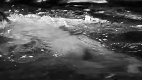 Buster from The Cameraman Naked. Butt, Shirtless, black and white, brown hair. 184427