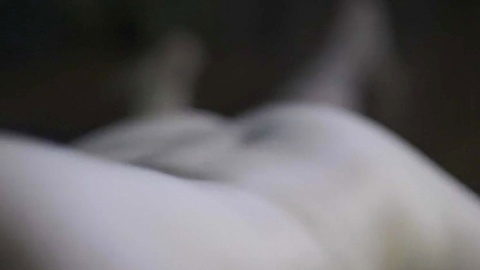 Aidan Ritchie Nude in Woman in Car. Butt, Shirtless, Straight, barefoot, butt close up. 185962