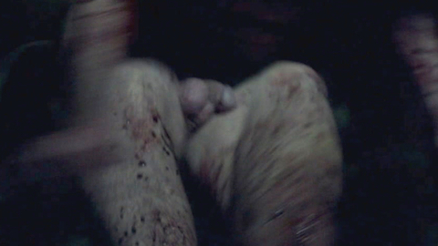 Kaolin Bass Naked in Blood-Red Ox. Balls, Penis, Shirtless, nudecomer, outdoors. 186715