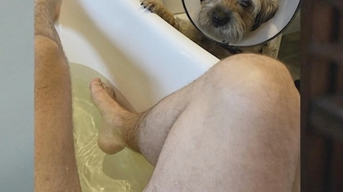 Patrick Brammall Naked in Colin from Accounts. Penis, Prosthetic, bath tub, gray fox. 187363