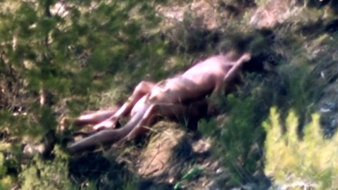 Tony Fuentes Nude as Miguel. Butt, Shirtless, Straight, brown hair, man on top of woman. 187496