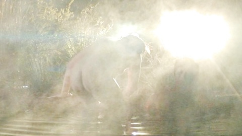 Toan Le Naked as The General. Butt, Shirtless, asian, night. 191037