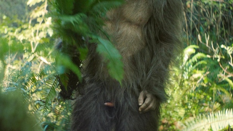 Jesse Eisenberg Nude in Sasquatch Sunset. Erect, Penis, Prosthetic, bigfoot, forest. 191254