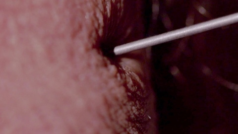 Batz from Bad Biology Naked. Penis, Prosthetic, close up, extreme close up. 193241