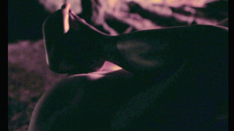Thomas Doherty Nude in Dandelion. Butt, Sexy, Shirtless, Straight, campfire, fireside. 193558