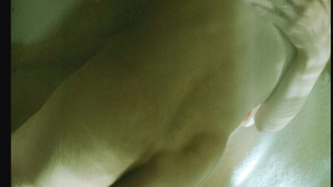Adrien Brody Nude as László Tóth. Body Double, Butt, Straight, close-up, man on top. 195554
