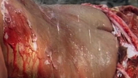 Mark Gregory Nude in Adam and Eve. Butt, blood, close up. 202222