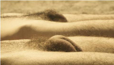 Mr. Tan: Actors Tanning Naked! Fetish Beach Naked 770