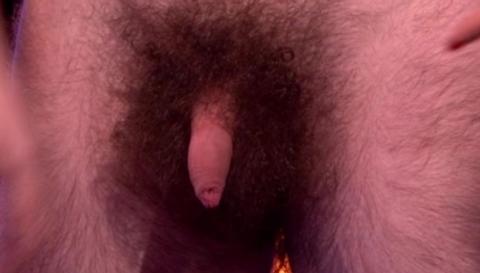 The Hairiest Full Frontals! Penis Bush Cock 815