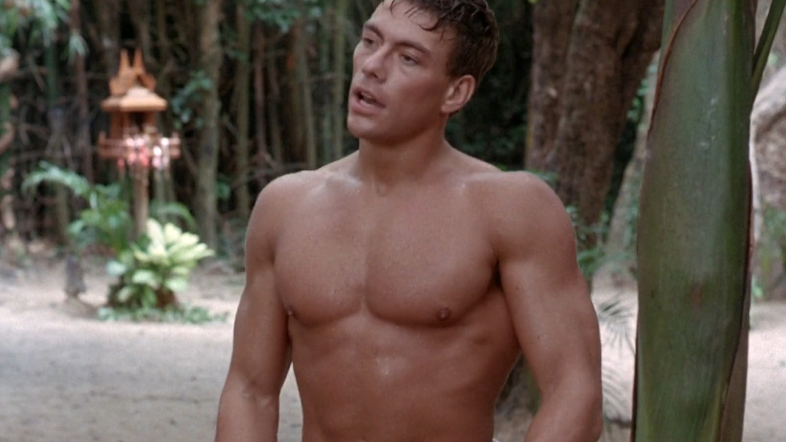 Hottest Jean-Claude Van Damme Scene in Kickboxer. Shirtless, bulge, thong. 80678